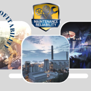 Maintenance and Reliability Future, Best Practices and CMRP Exam Prep.